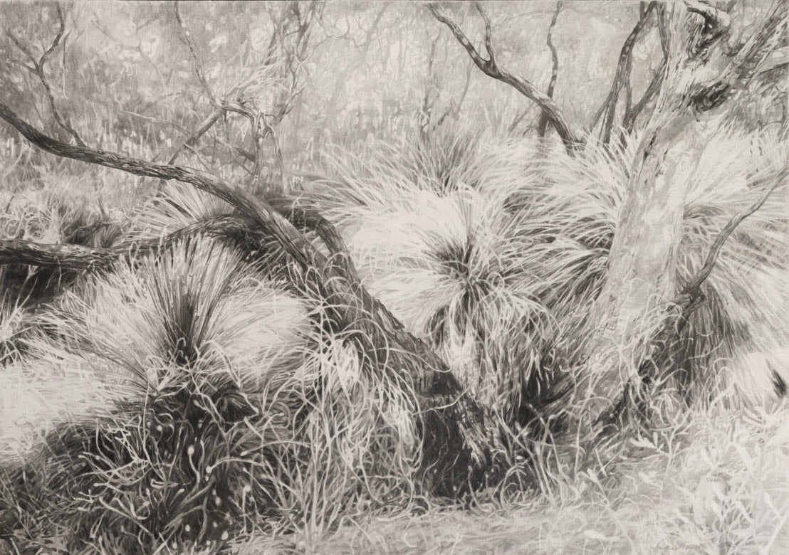 'The Gap Scrub" Limited Edition Print