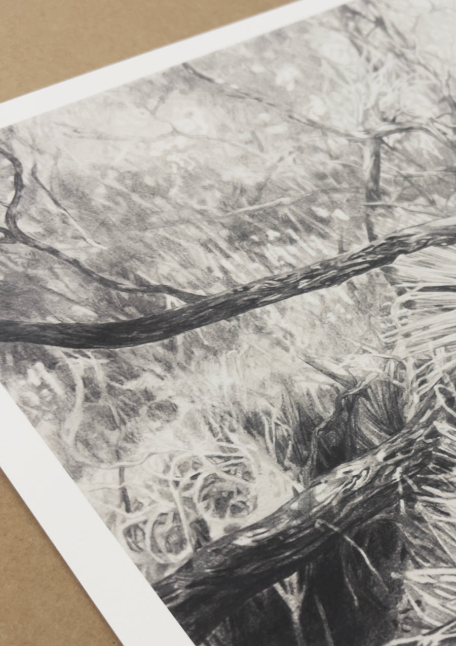 'The Gap Scrub" Limited Edition Print
