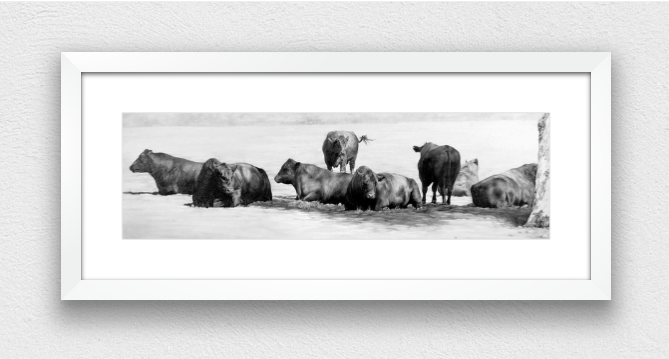 JAIME PROSSER ART, DRAWING, AUSTRALIAN LANDSCAPE, SOUTH AUSTRALIAN ARTIST