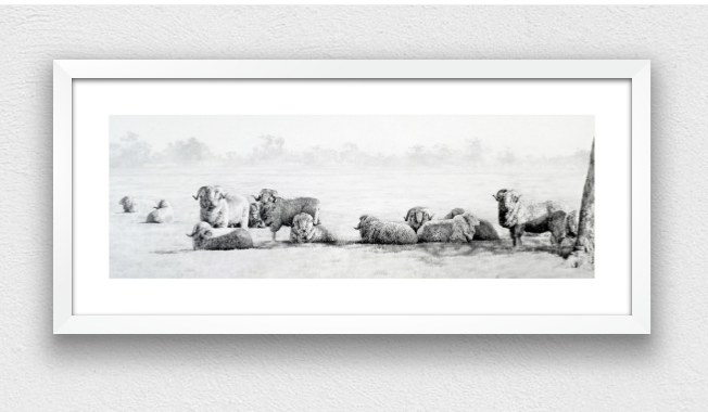 Sheep wall art prints by Jaime Prosser