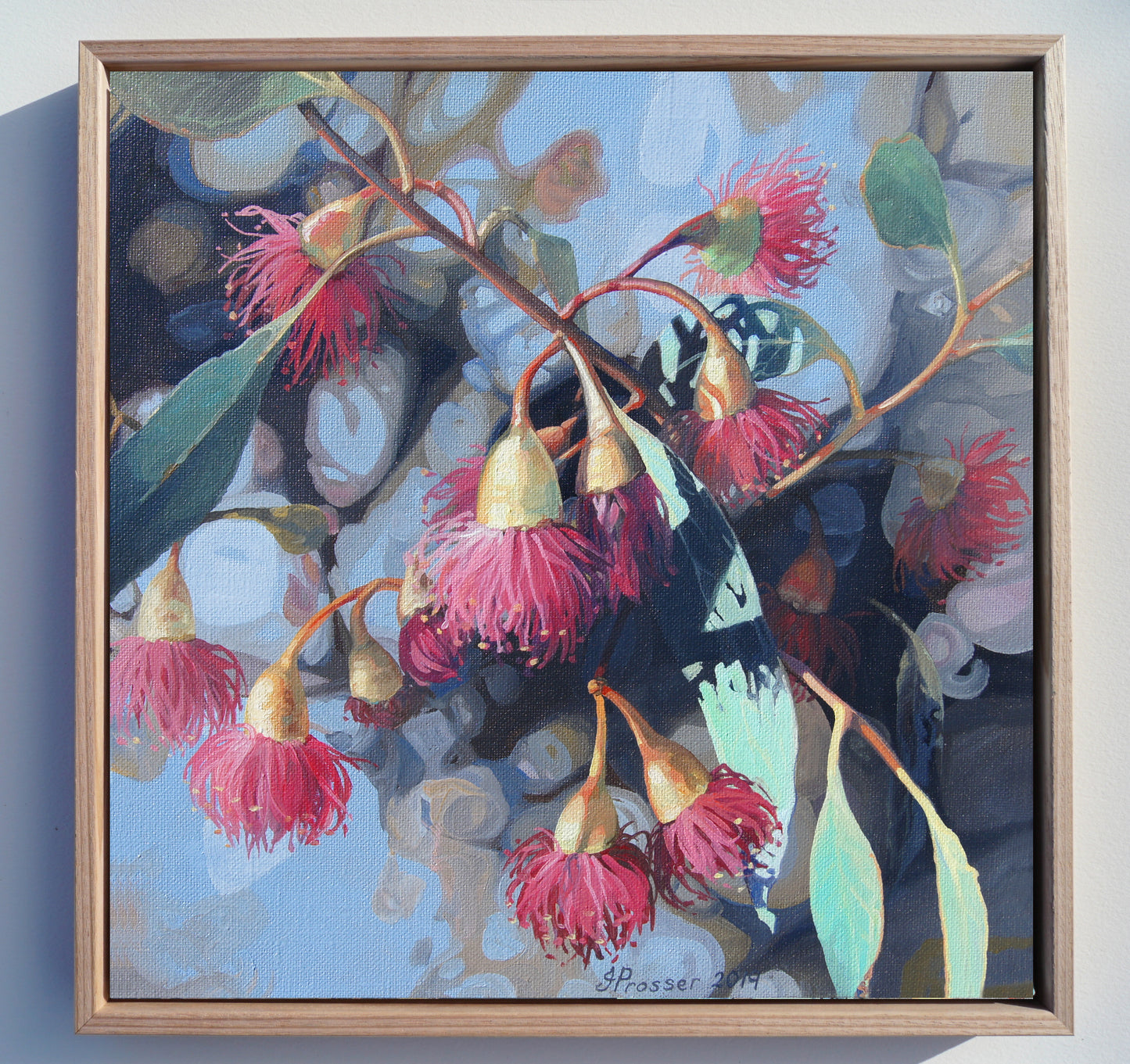 Red Gum Blooms Art Print
