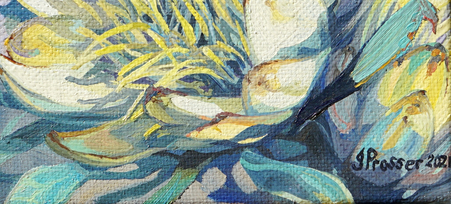 Yellow Protea Flowers