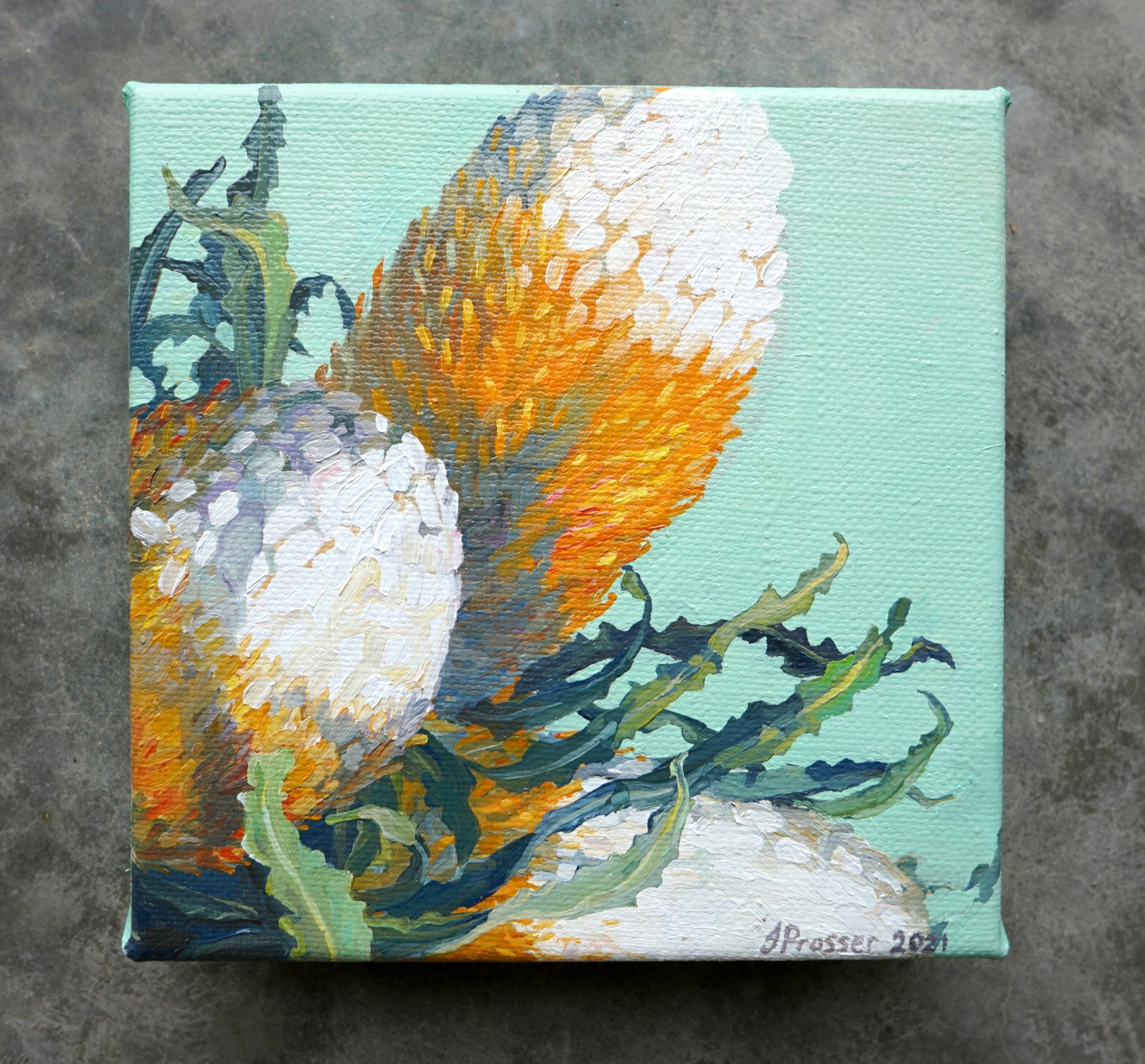 Three Banksia Flowers