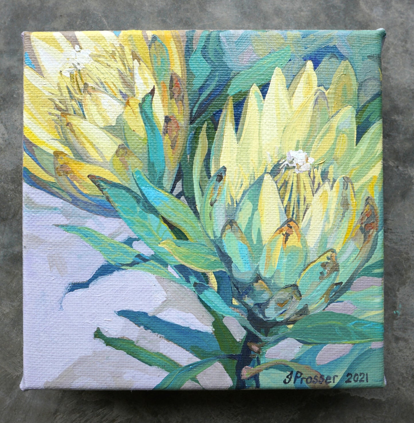 Two Yellow Protea Flowers