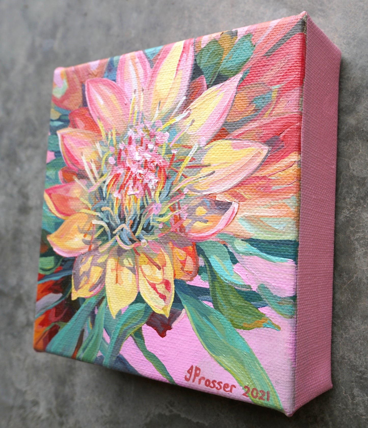 Pink & Yellow Protea Flowers