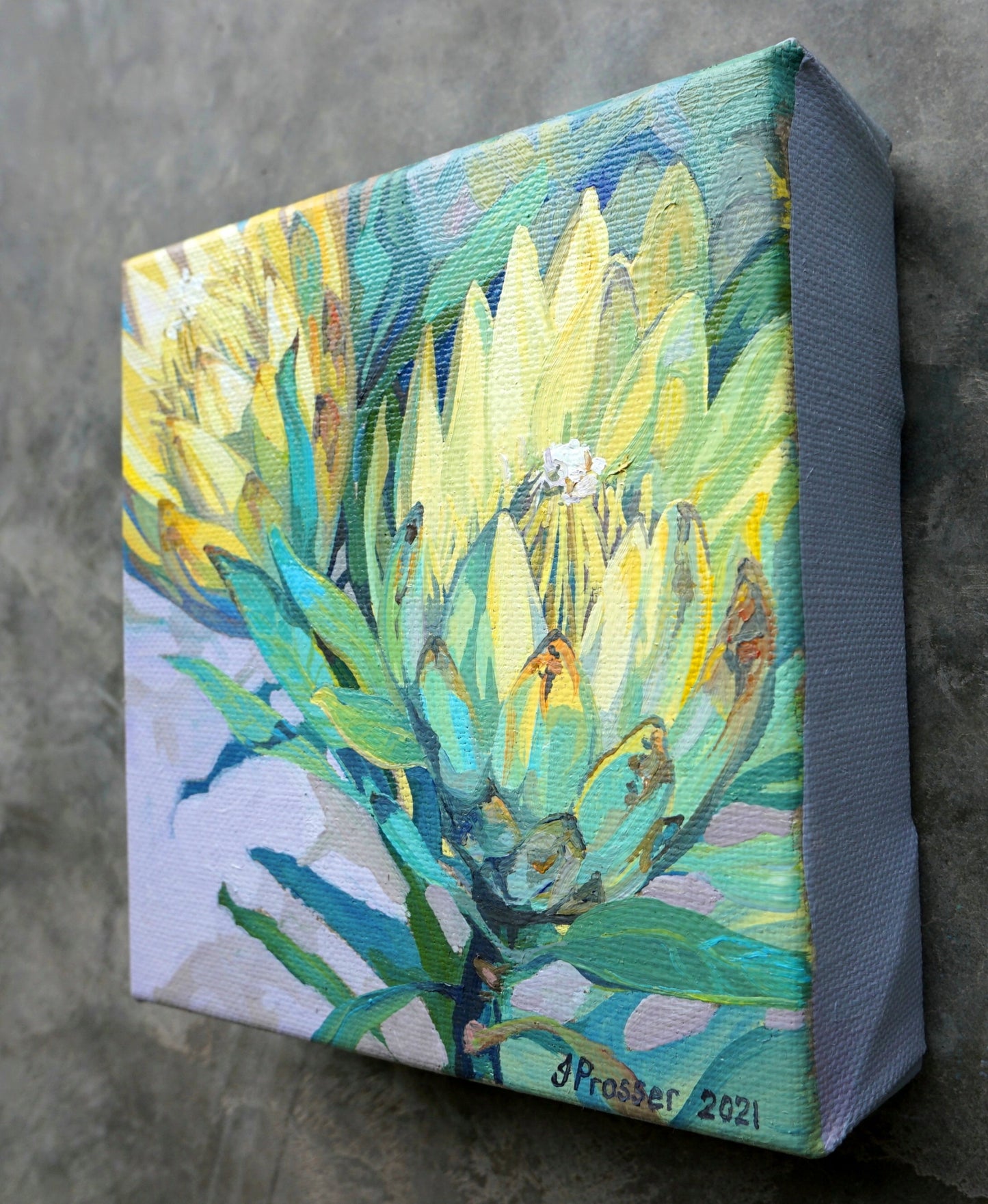 Two Yellow Protea Flowers