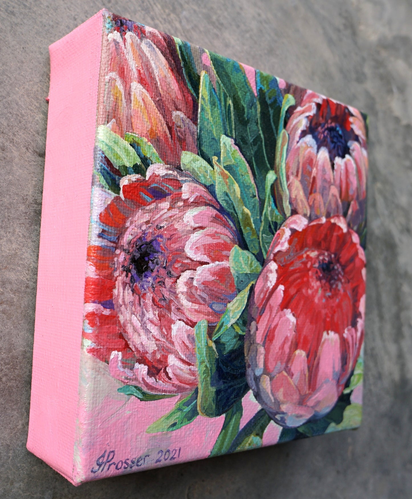 Pink & Red Protea Flowers