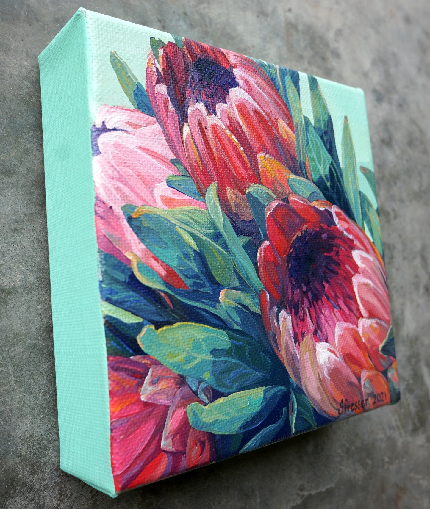 Red & Pink Protea Flowers