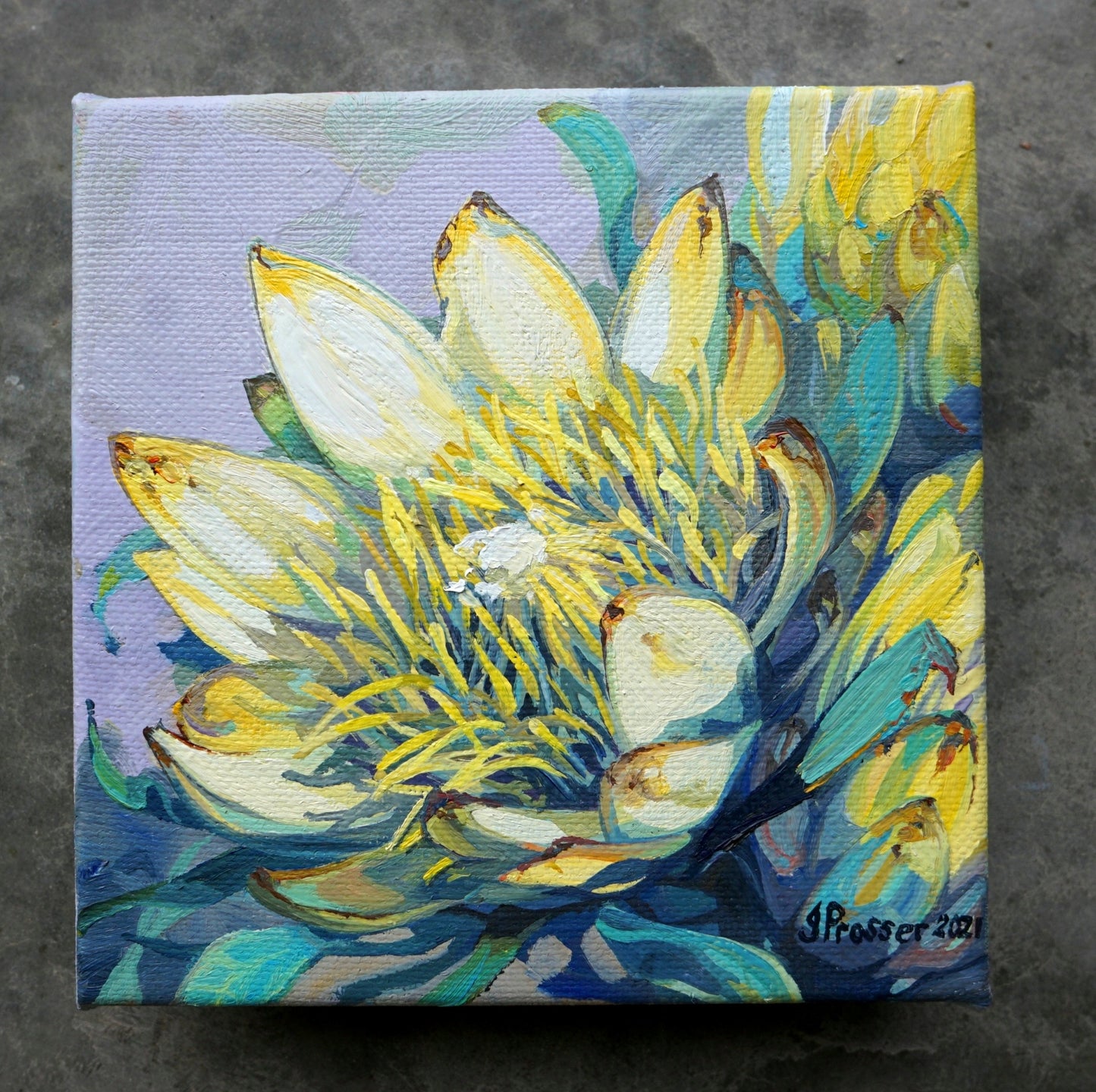 Yellow Protea Flowers