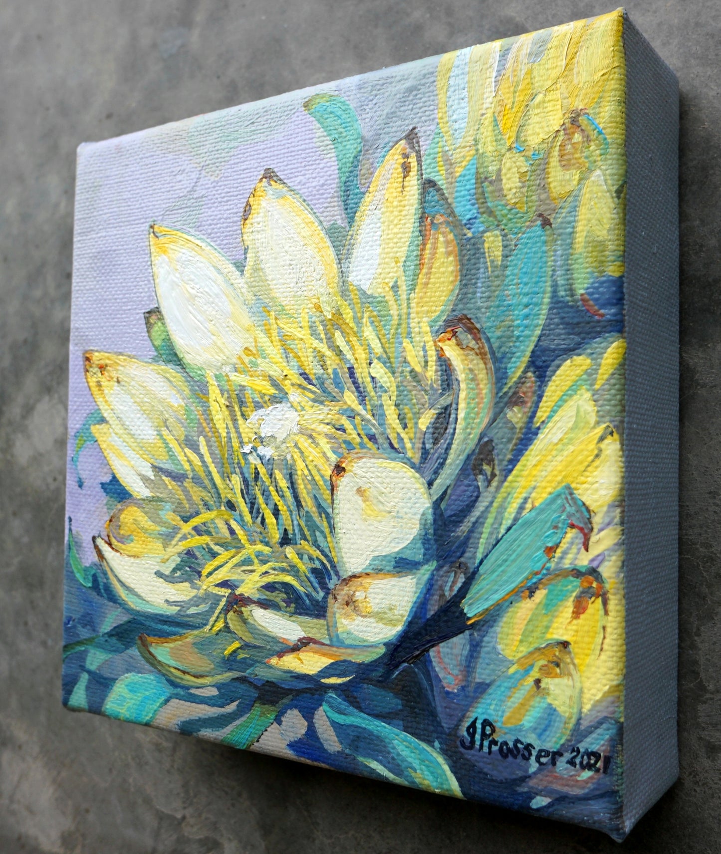 Yellow Protea Flowers