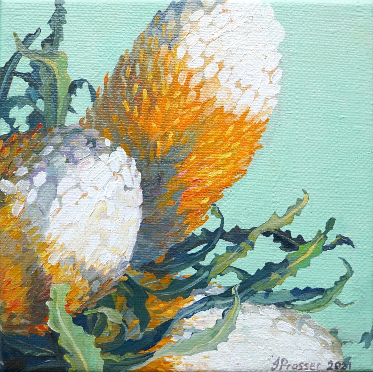 Three Banksia Flowers