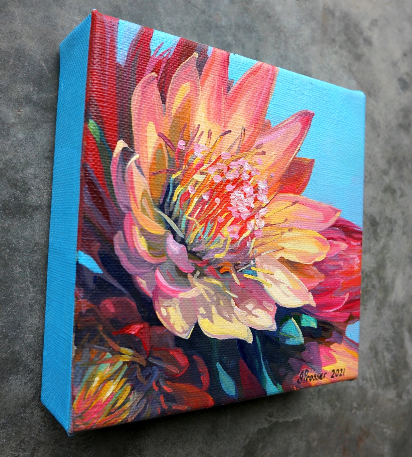 Yellow & Red Protea Flowers