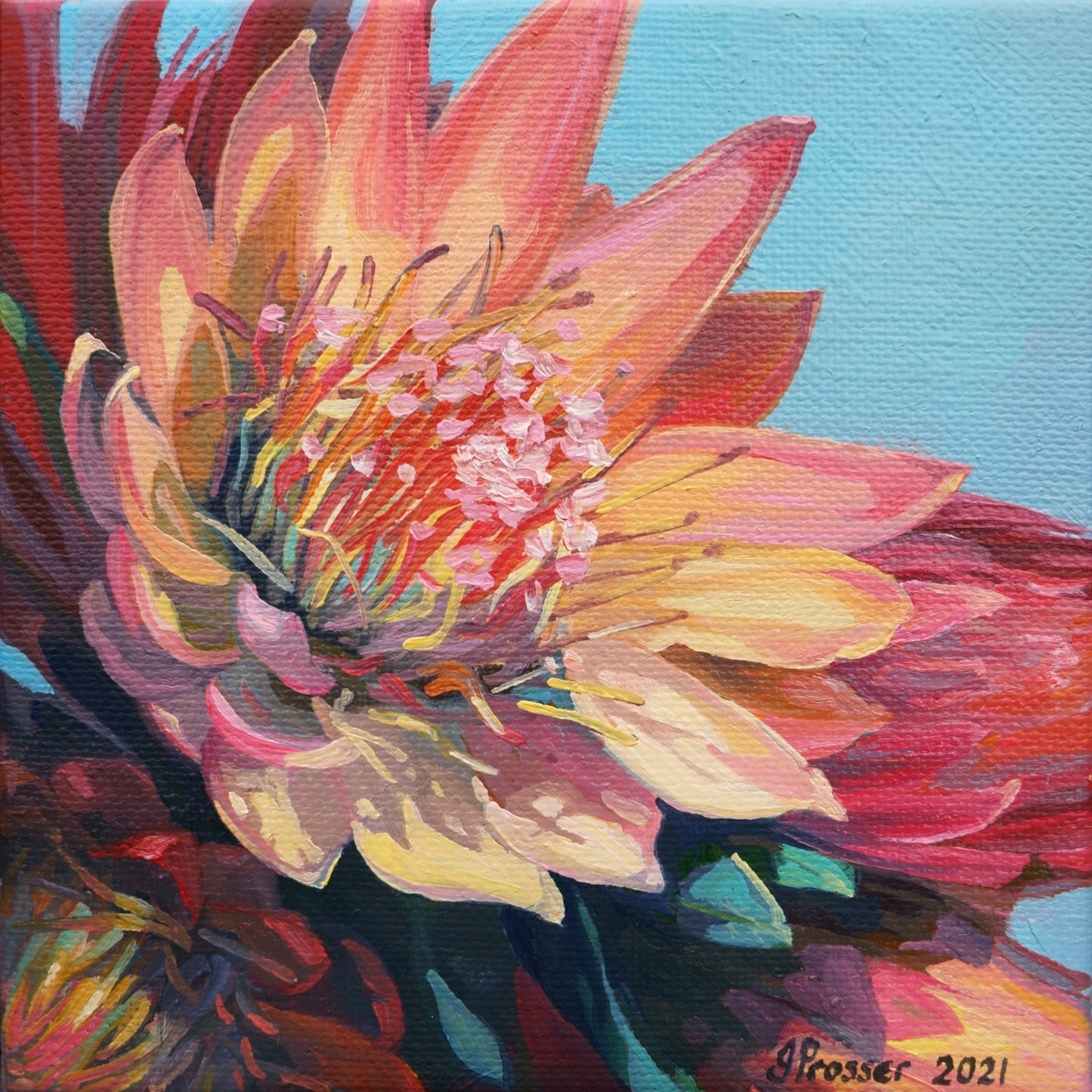 Yellow & Red Protea Flowers Art Print