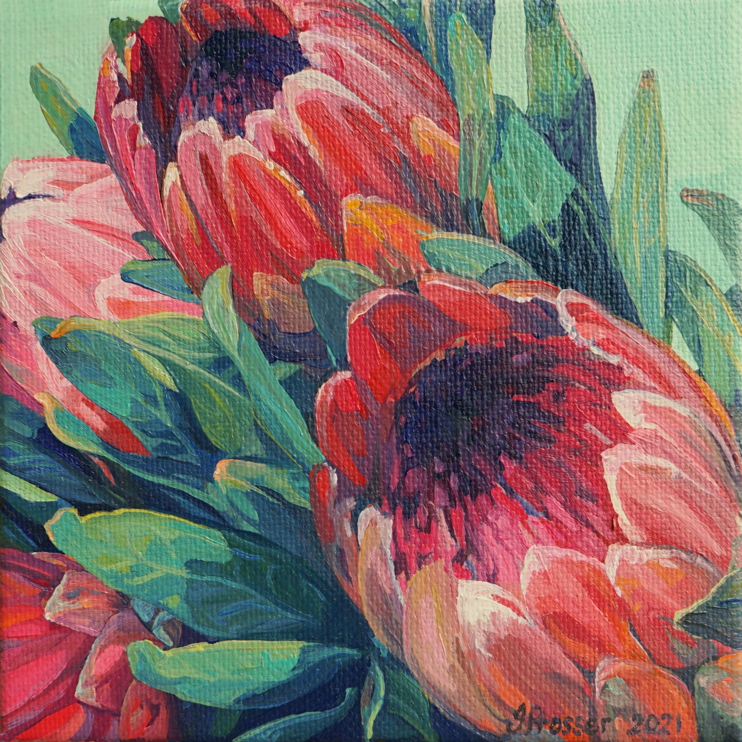 Red & Pink Protea Flowers Card