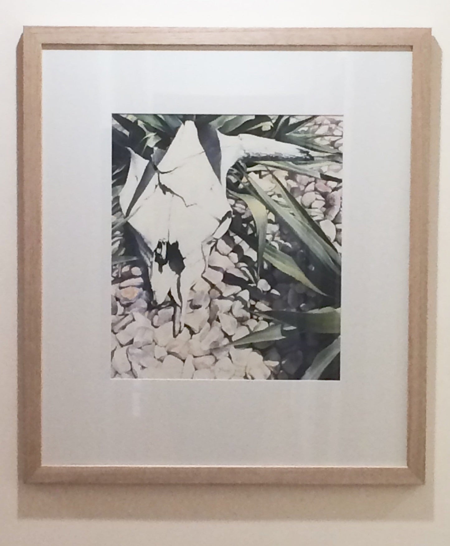 Sun-Bleached Longhorn Original - JAIME PROSSER ART