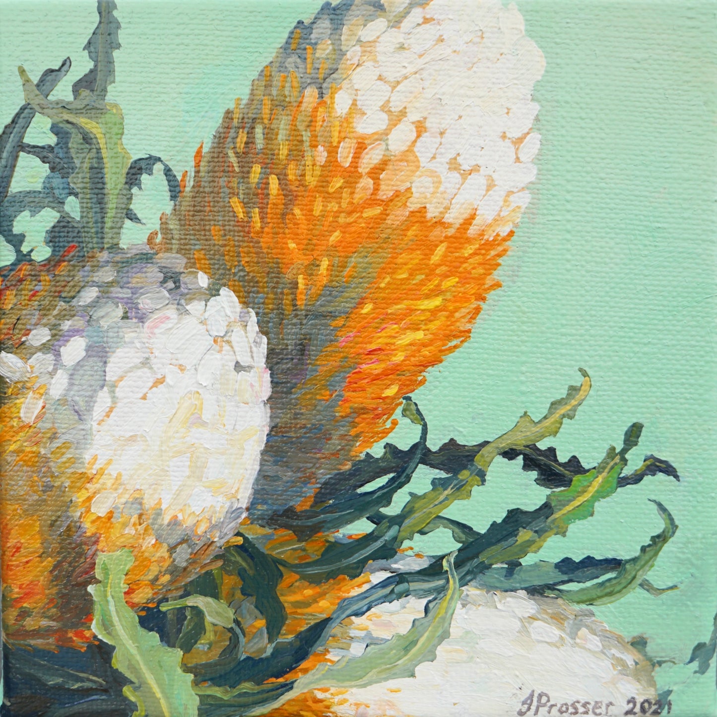 Three Banksia Flowers Art Print