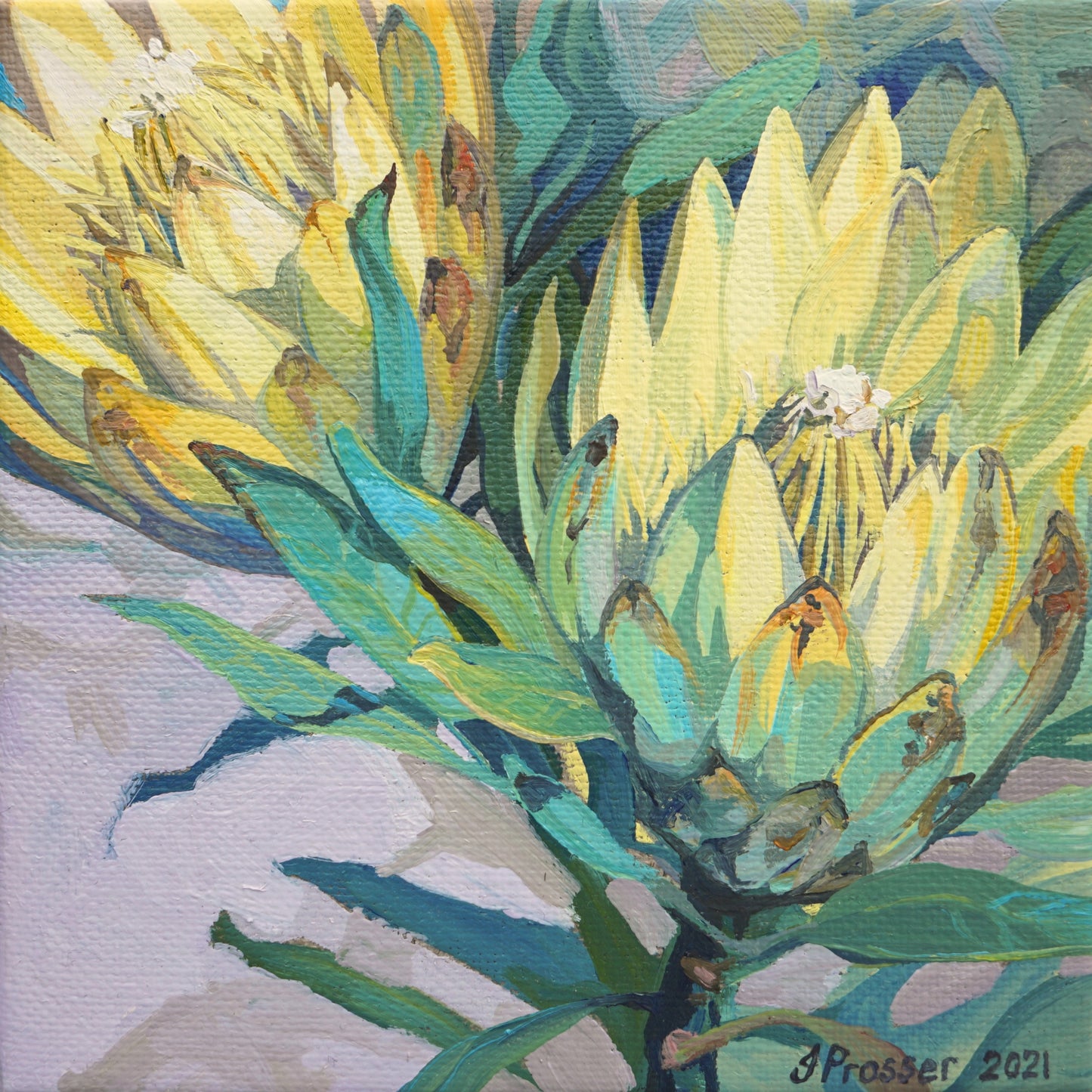 Two Yellow Protea Flowers Card