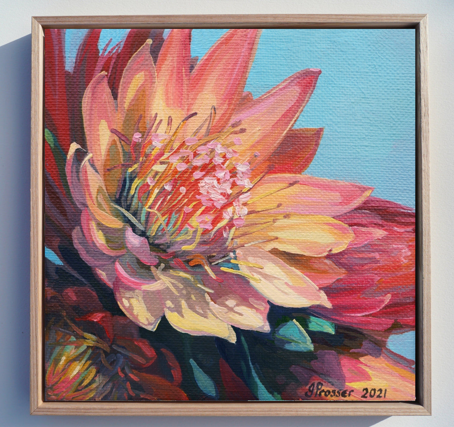 Yellow & Red Protea Flowers Art Print