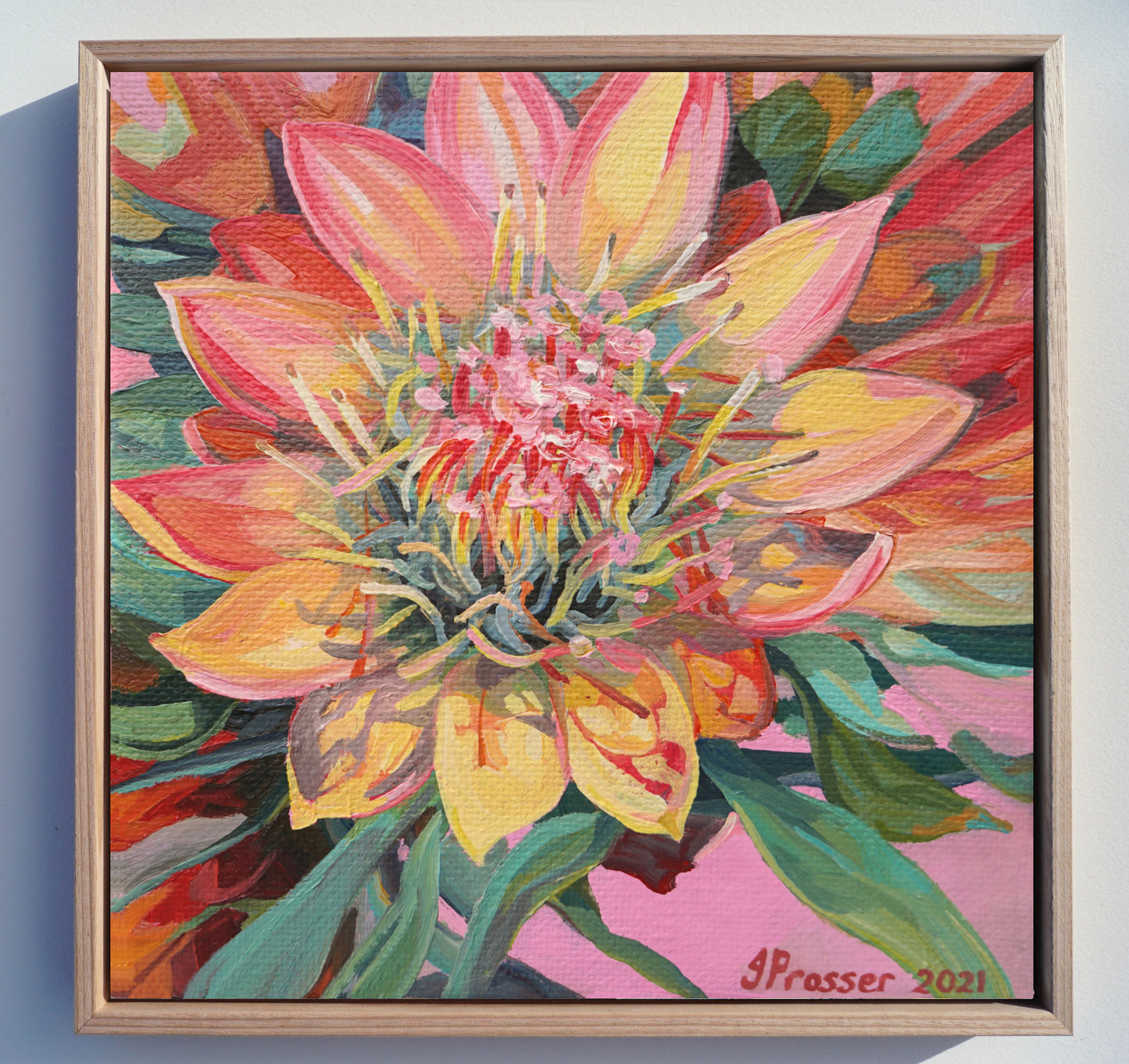 Pink & Yellow Protea Flowers Art Print