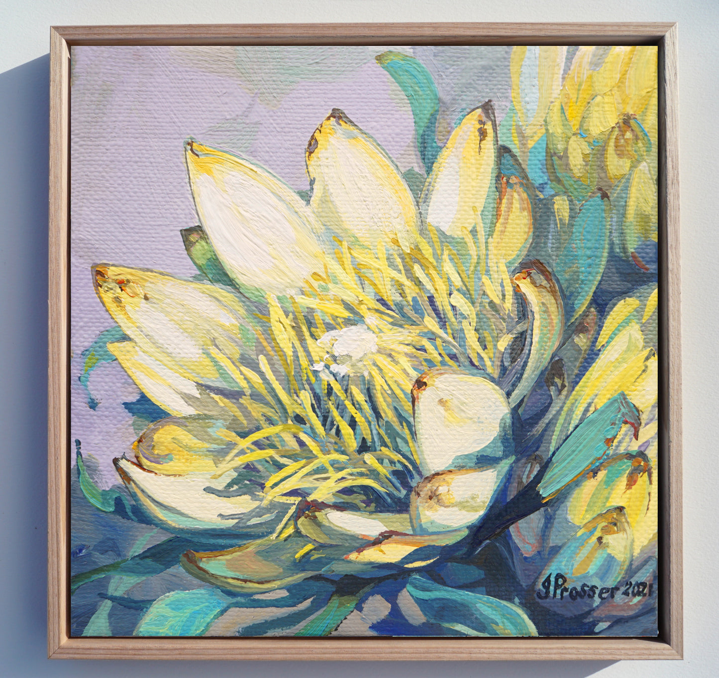 Yellow Protea Flowers Art Print