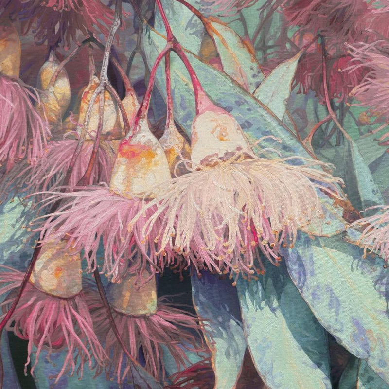 Colourful painting of native Australian gum blossoms by Jaime Prosser - limited edition fine art print