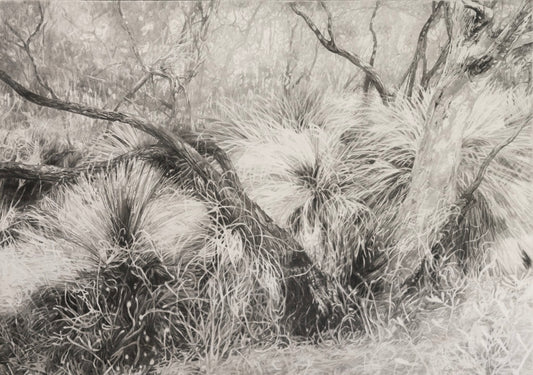 'The Gap Scrub" Limited Edition Print