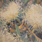Flowering Gum Limited Edition Print