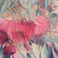 Fairbanks Flowering Gum
