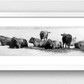 JAIME PROSSER ART, DRAWING, AUSTRALIAN LANDSCAPE, SOUTH AUSTRALIAN ARTIST