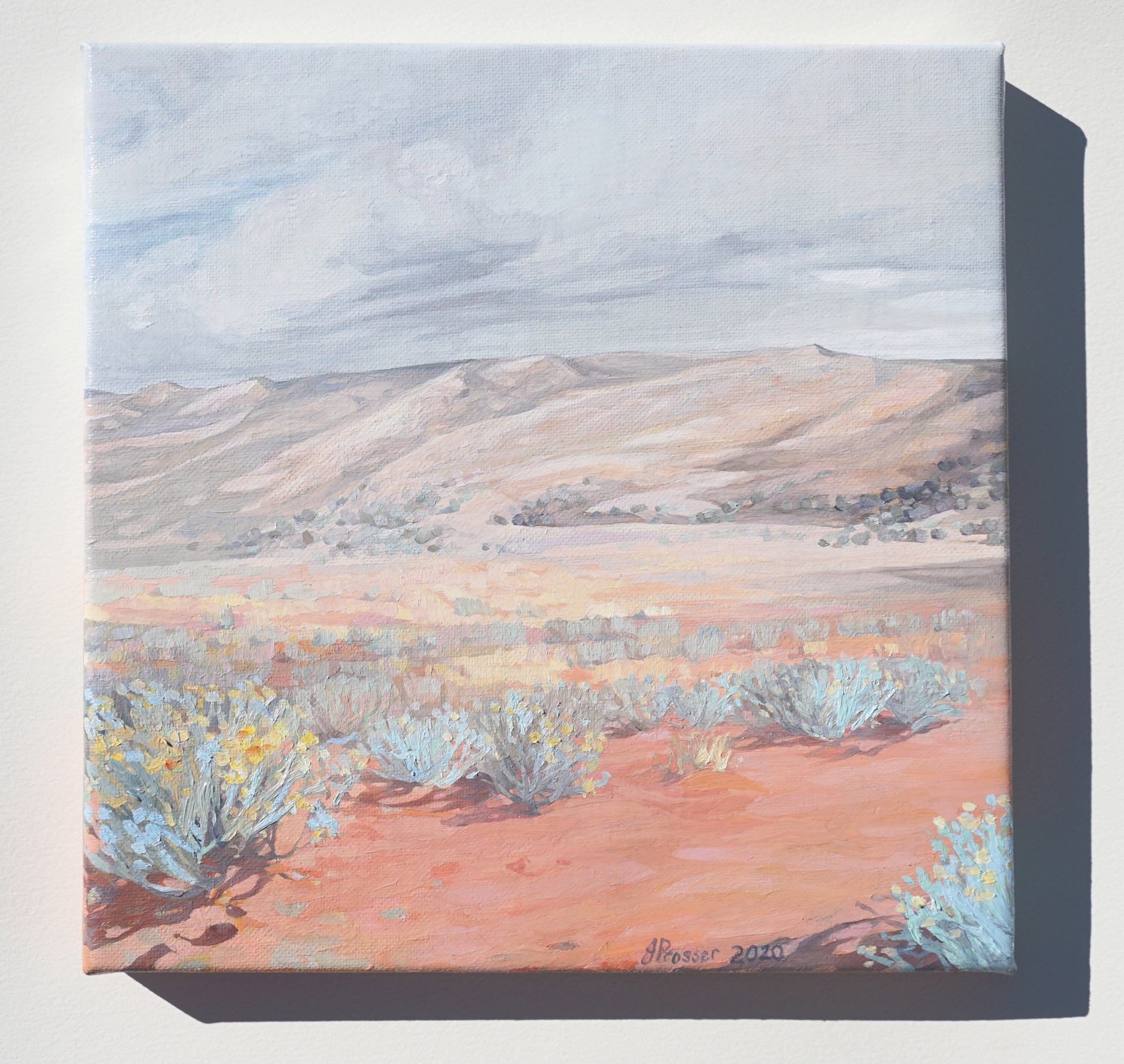 Australian artist Jaime Prosser painting titled 'Desert & Blue Bush Landscape'