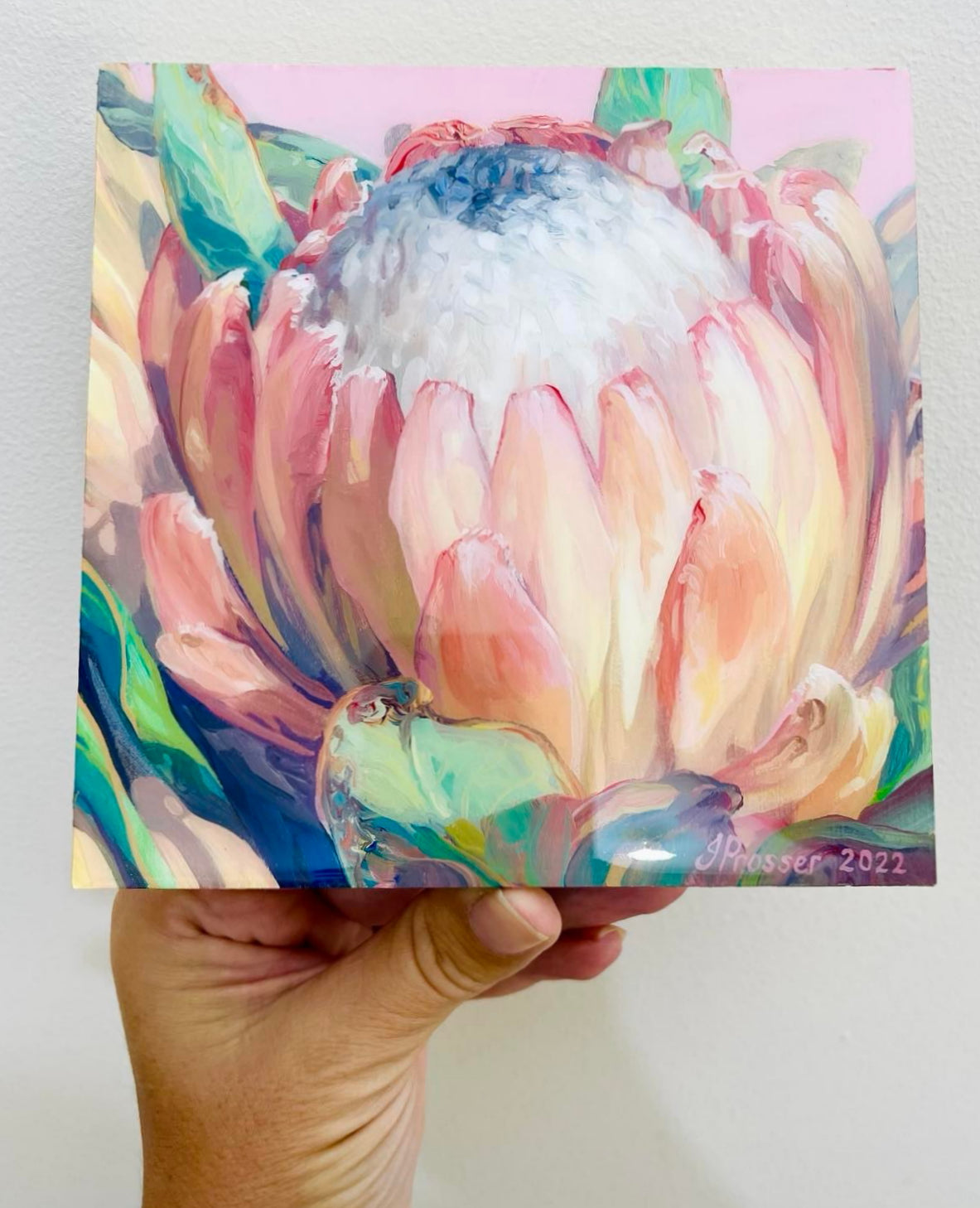 PINK PROTEA PAINTING BY JAIME PROSSER 