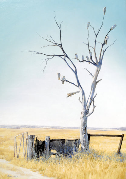 Cocky’s Gate print by Jaime Prosser