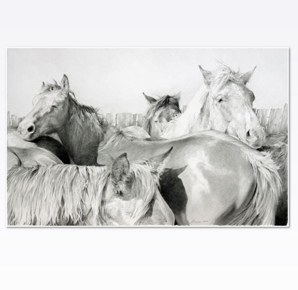 Horse print by JAIME PROSSER ART