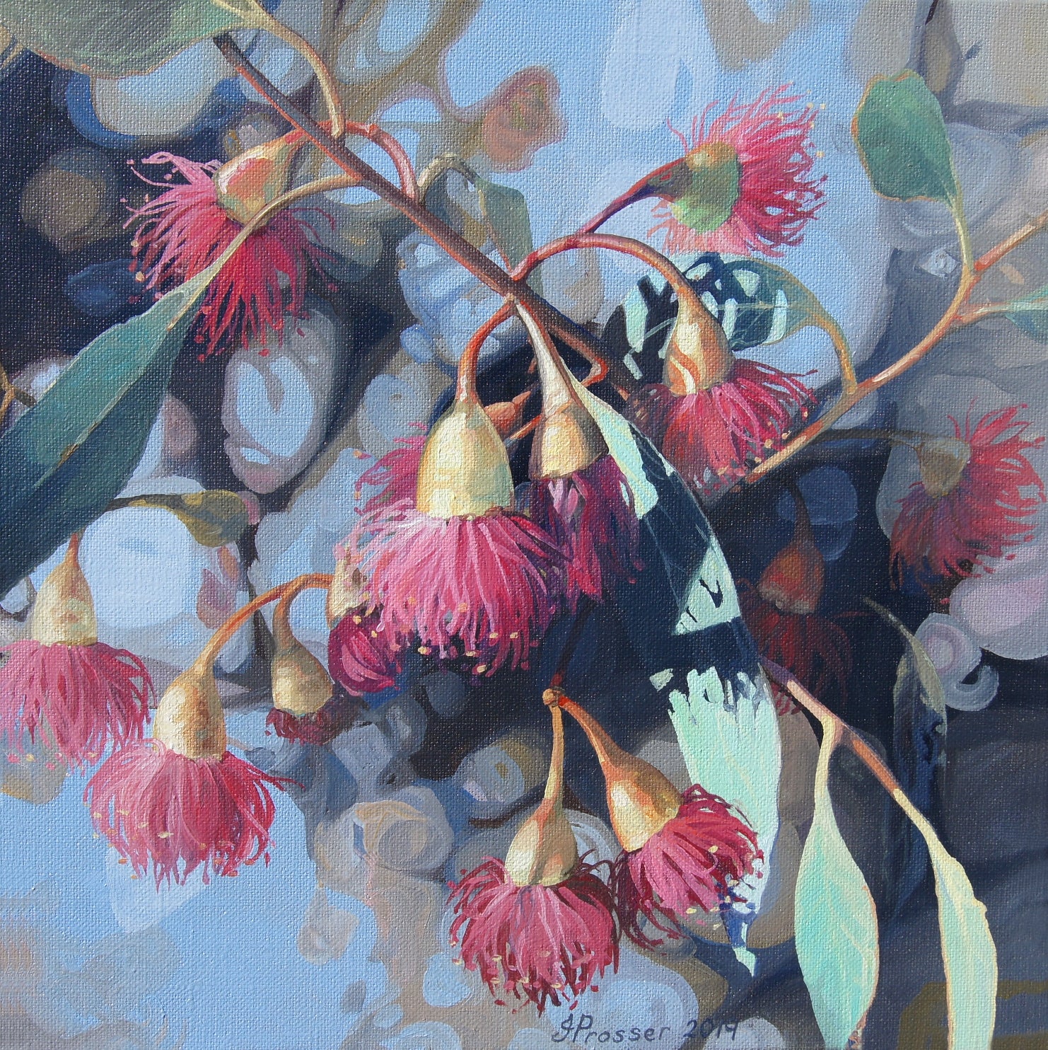 Jaime Prosser painting of red gum tree flowers