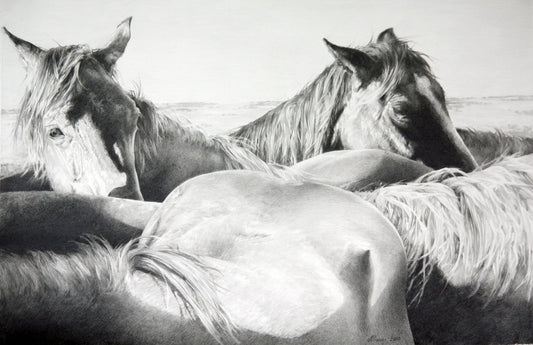 Horse Play by JAIME PROSSER ART