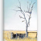 Gum tree print by JAIME PROSSER ART