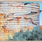  Outback Tank Print - JAIME PROSSER ART