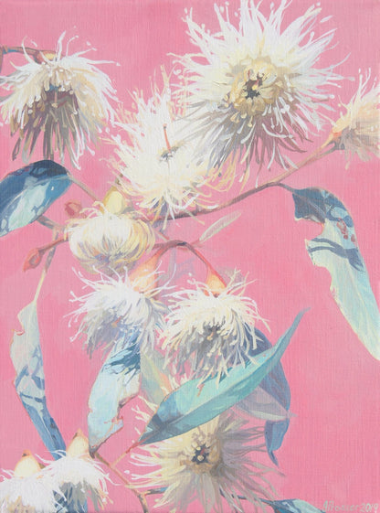 CANVAS PRINTS - Pretty In Pink Gums Print - JAIME PROSSER ART