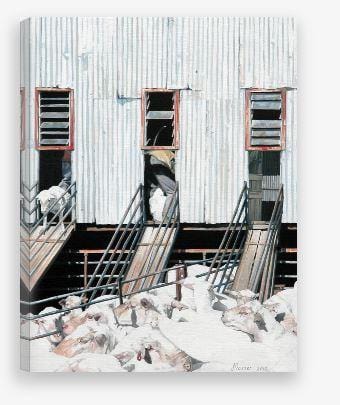 Shearing Time Again Print - JAIME PROSSER ART