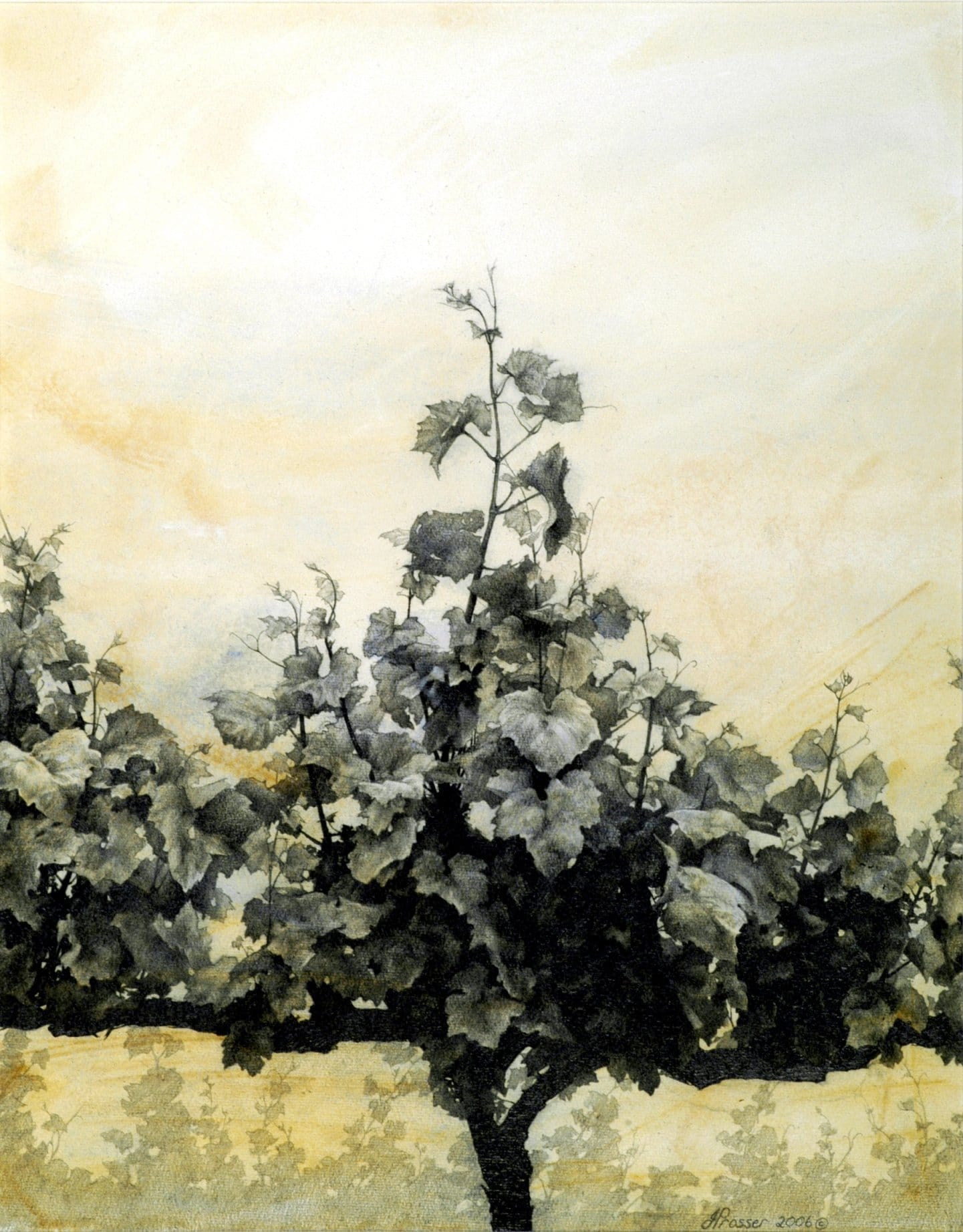 Vine Study Print - JAIME PROSSER ART