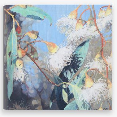 AUSTRALIAN ART - White Gum Blooms Print - JAIME PROSSER ART