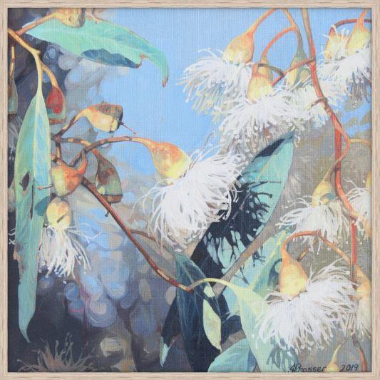 ART - White Gum Blooms Print - JAIME PROSSER ART