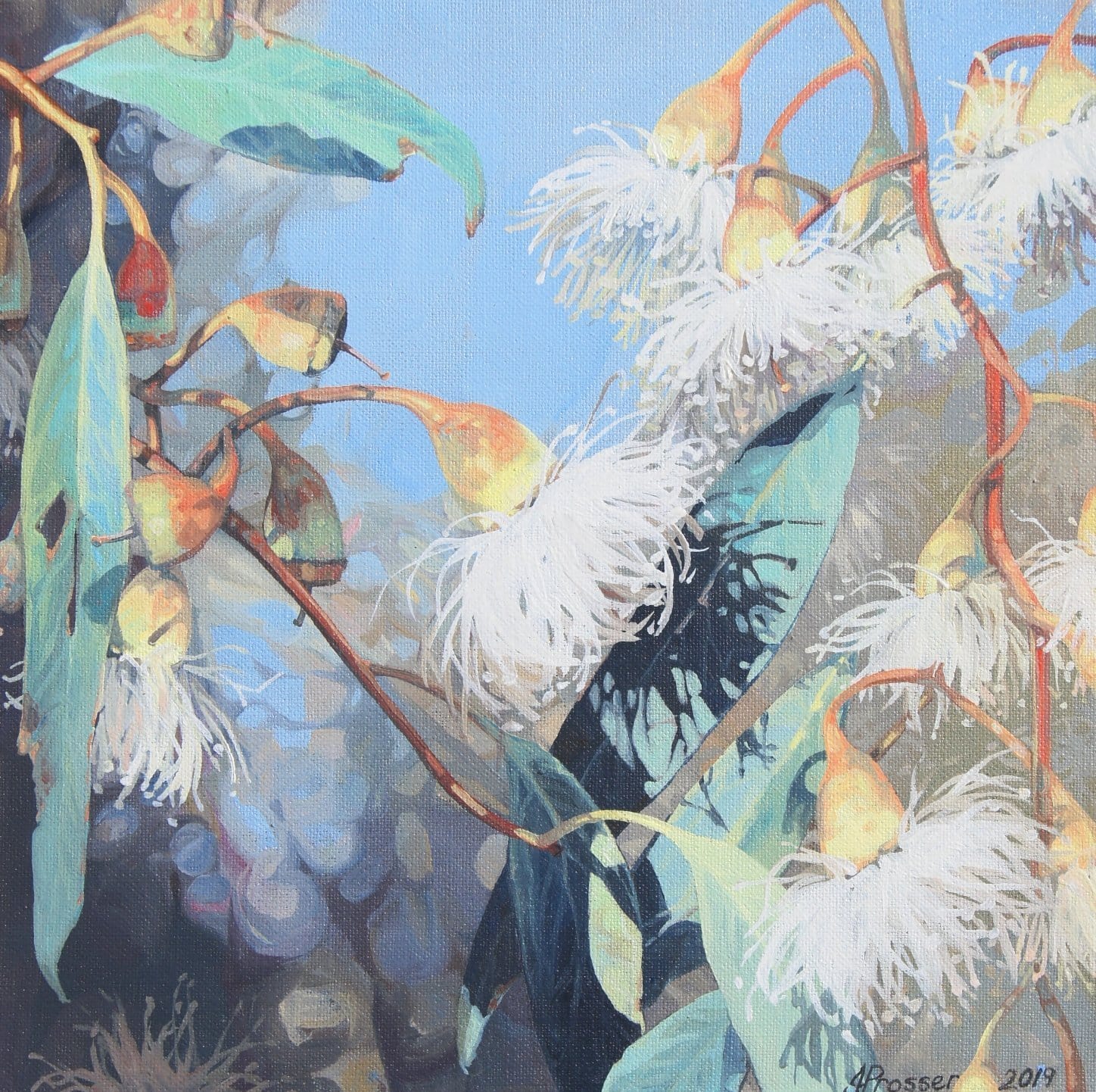 AUSTRALIAN ART - White Gum Flowers by Jaime Prosser
