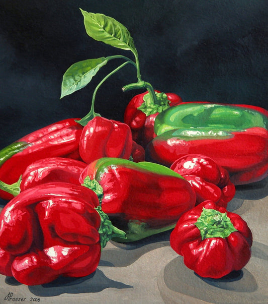 AUSTRALIAN ART FOR SALE - JAIME PROSSER ART