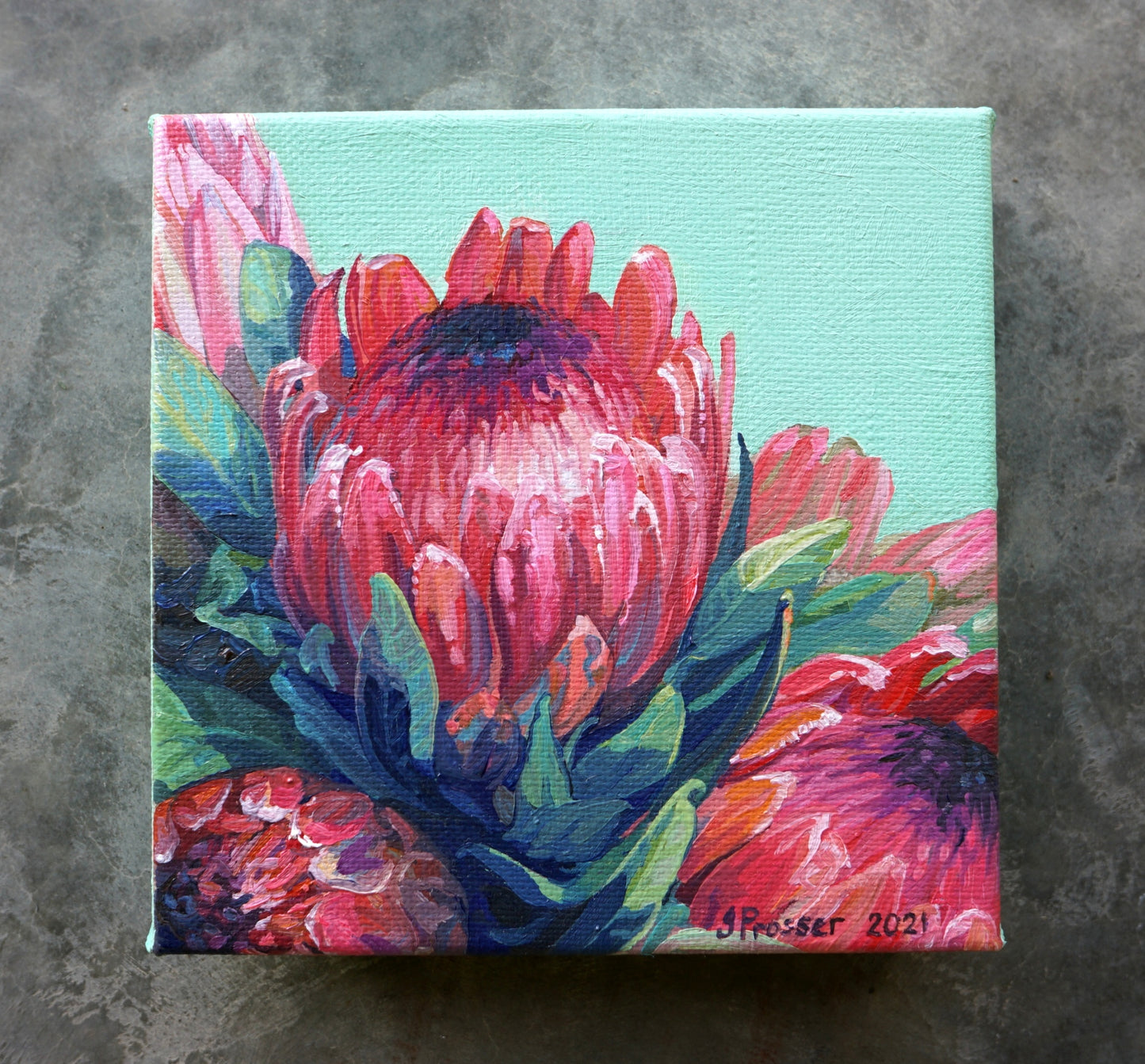 Bunch Of Red & Pink Protea Flowers