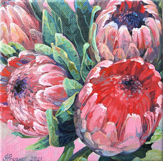 Pink & Red Protea Flowers Art Print