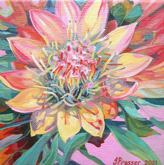 Pink & Yellow Protea Flowers Card