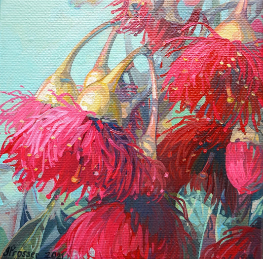 Red Flowering Gum Card