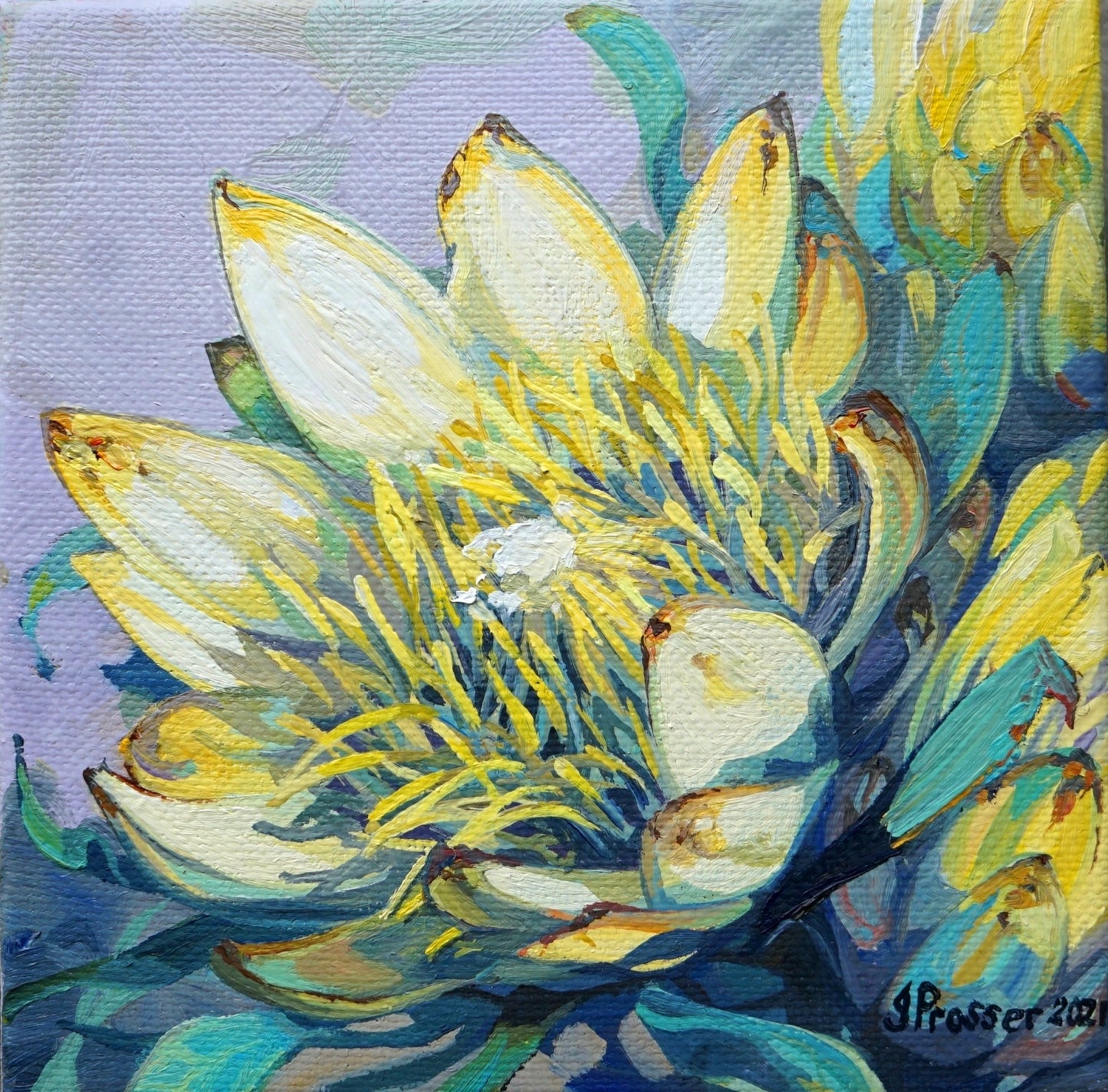 Yellow Protea Flowers Card