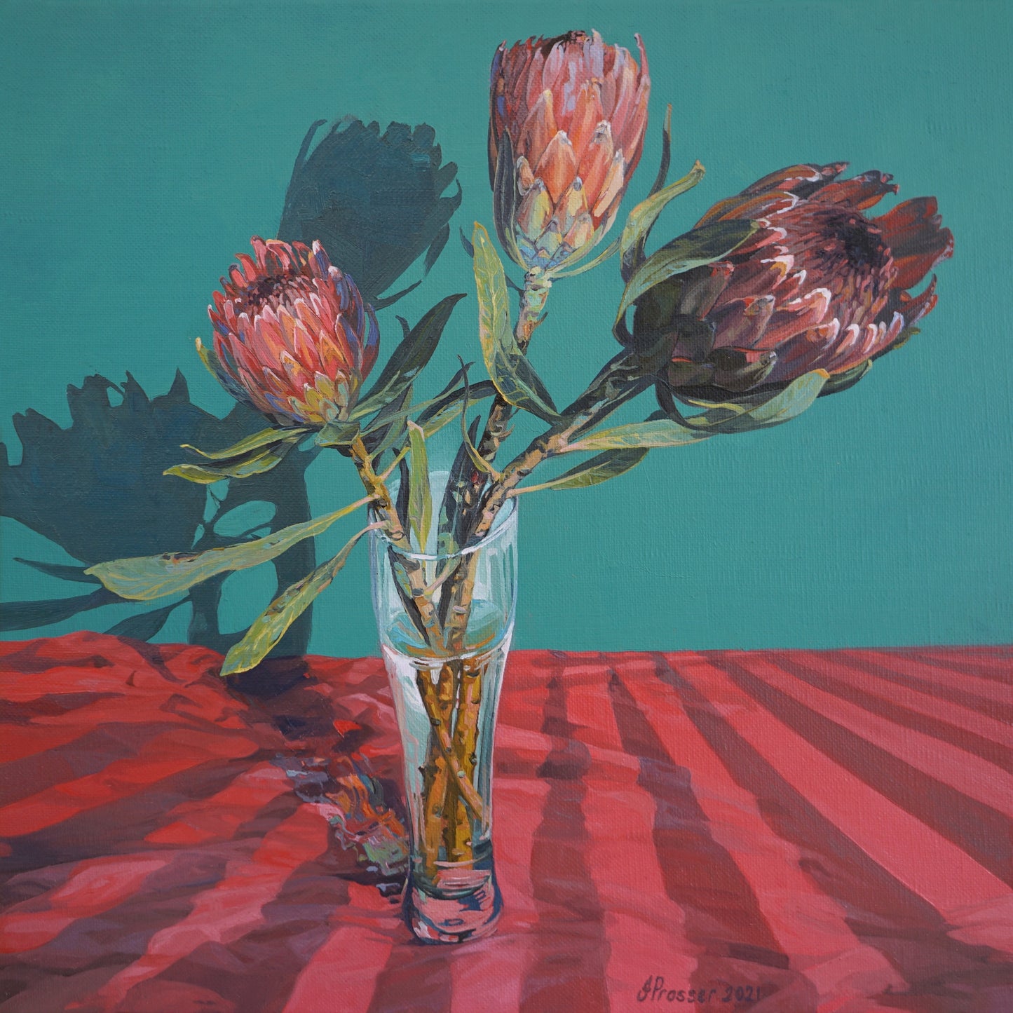 JAIME PROSSER ART PAINTING AND PRINTS OF NATIVE FLOWER PROTEAS